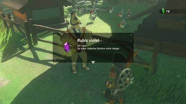 Test The Legend of Zelda : Breath of the Wild - Rubis